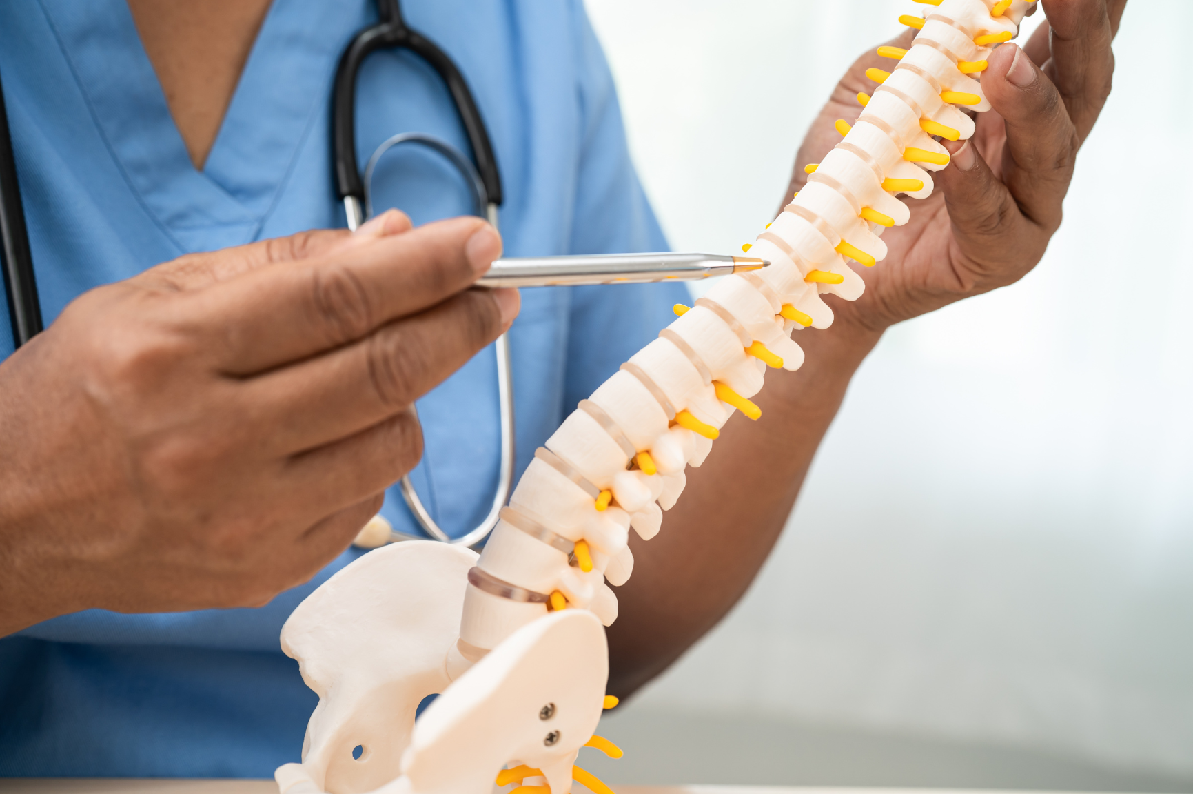 Spine & Neck Image 2