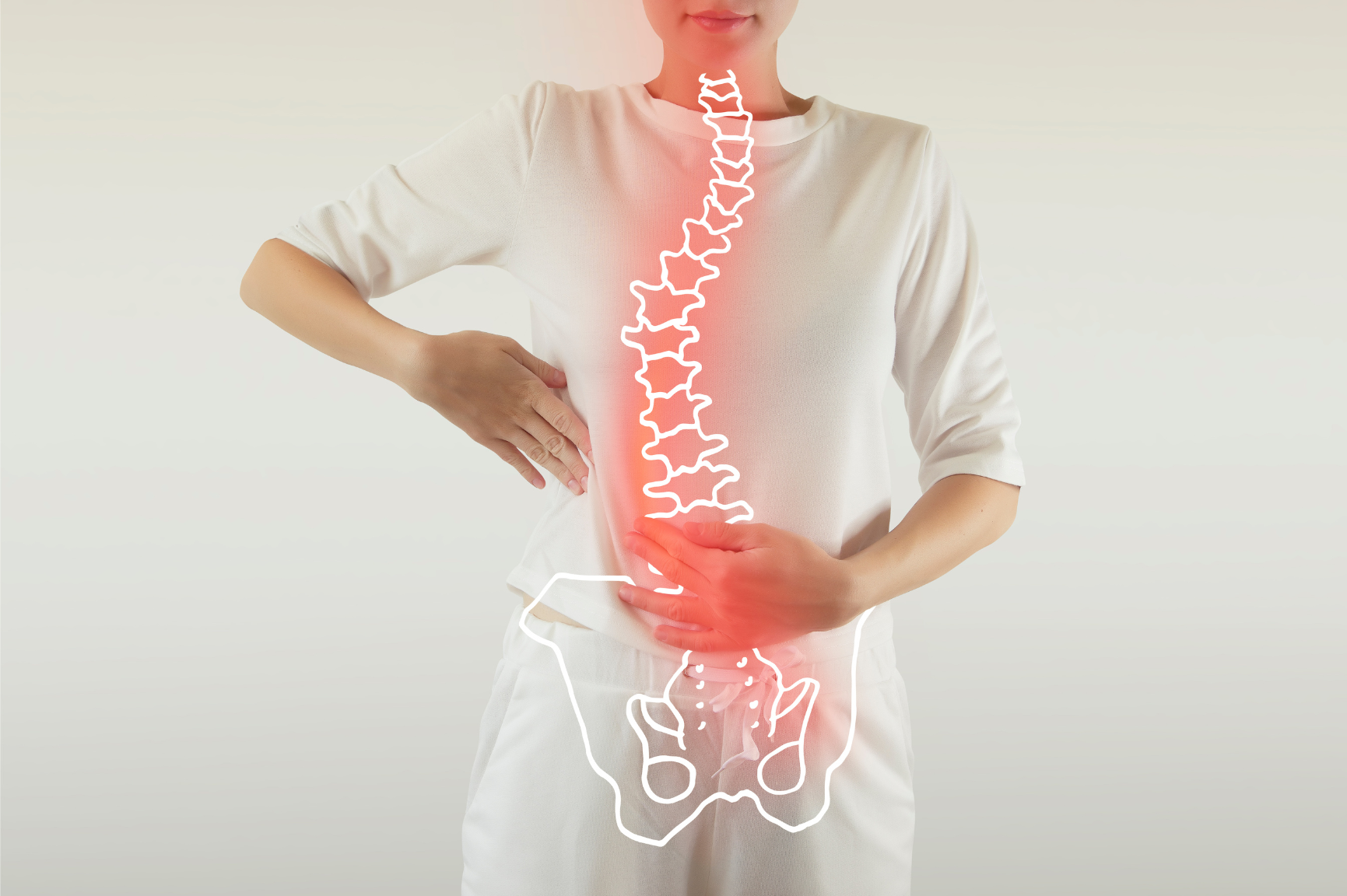 Spine & Neck Image 3